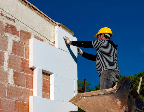 Best Insulation Removal Services  in USA